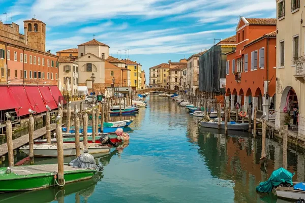 Chioggia - From Lauren Yakiwchuk
