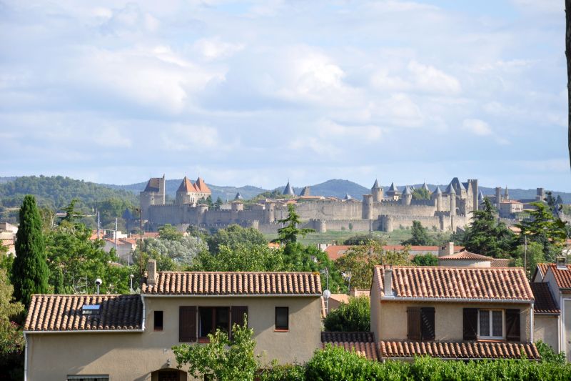 Carcassonne view