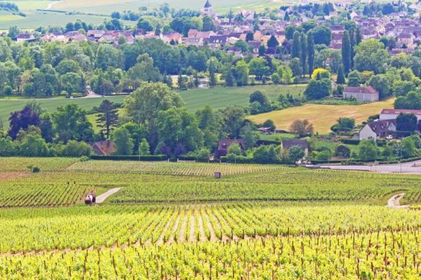 Chablis Burgundy France