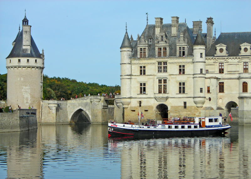 Nymphea Chenonceau