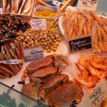 Shell Fish Market