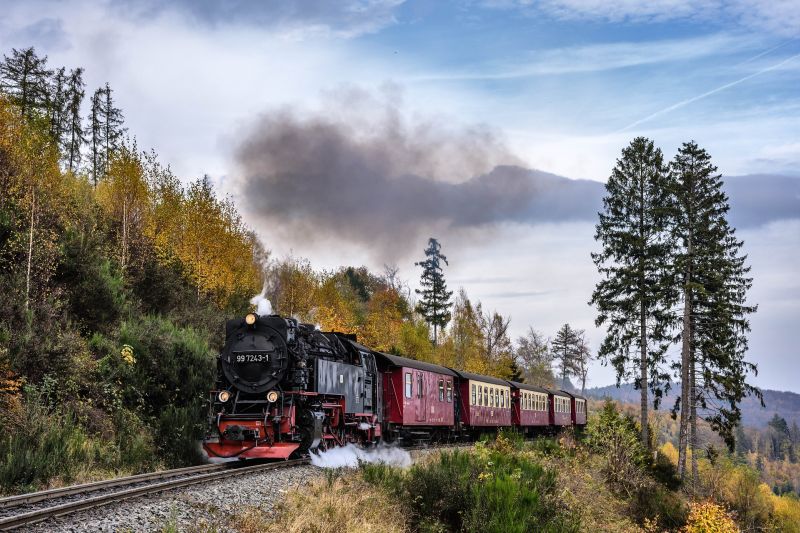 Multi Generational Cruises - Steam Train