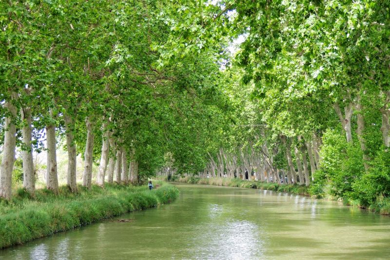 Trees lining the waterways on your Canal du Midi Holiday