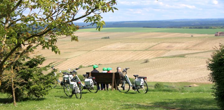 Biking Chablis