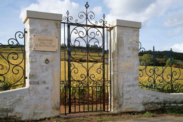 Burgundy – One of the most famous French Wine Regions
