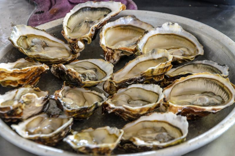 Languedoc Oysters