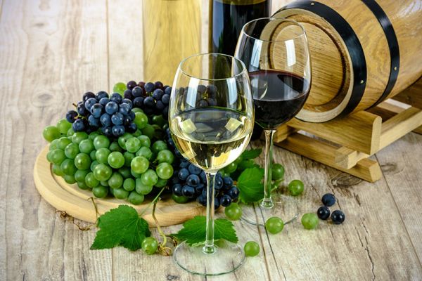 Wine experts - river Garonne cruises