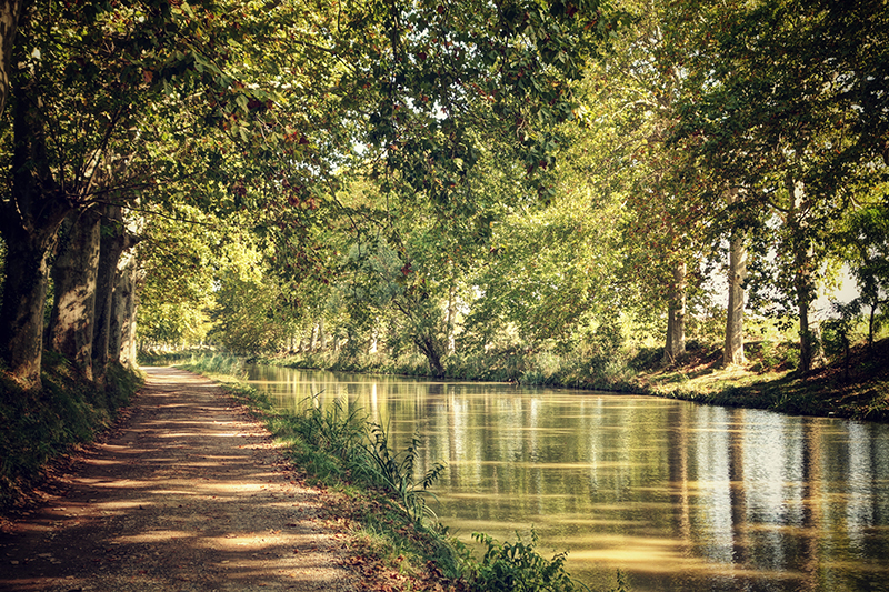 Verdant green trees bow over the world-famous Canal du Midi in Southern France