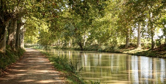 The 360-km network of navigable waterways make up the Canal du Midi - a UNESCO World Heritage site in France