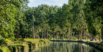 The verdant trees that surround the calm waters of the Burgundy Canal