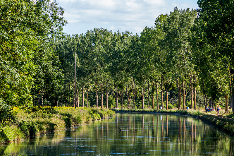 The verdant trees that surround the calm waters of the Burgundy Canal
