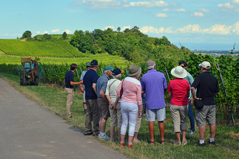 Guests on a wine-tasting tour among Burgundy's vineyards in the summer months - boating holidays france