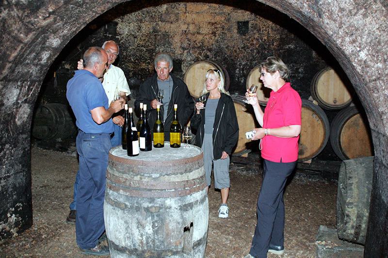 Guests enjoying a wine tasting excursion in Burgundy, France