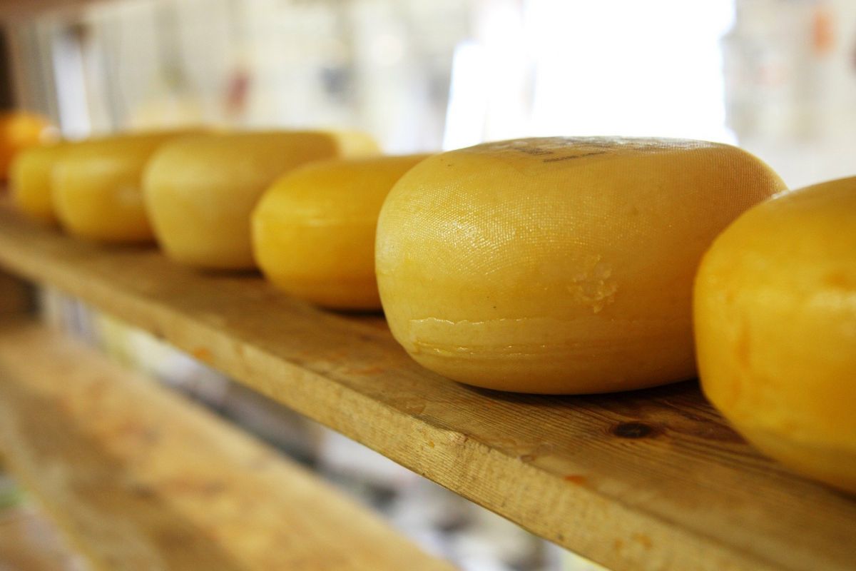 Cheese rounds with wax rind