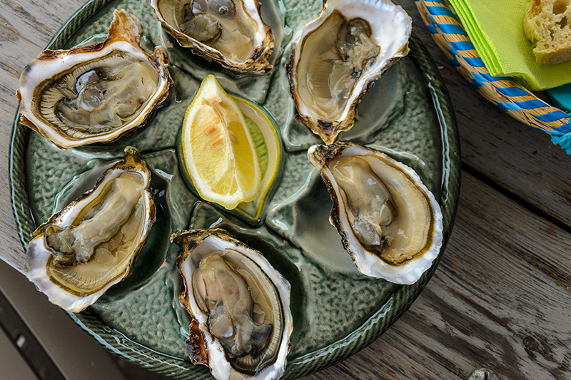 Oysters are a speciality in the Languedoc region and can be experienced on a Canal du Midi cruise