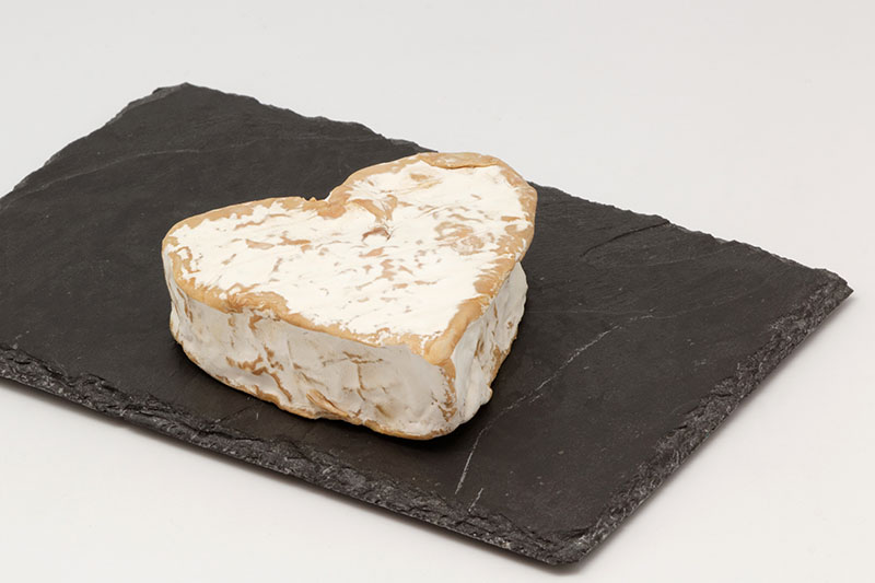 French soft cheese Neufchâtel cheese