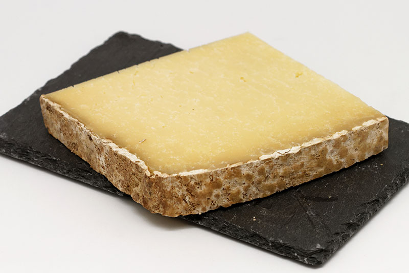 Cantal french soft cheese