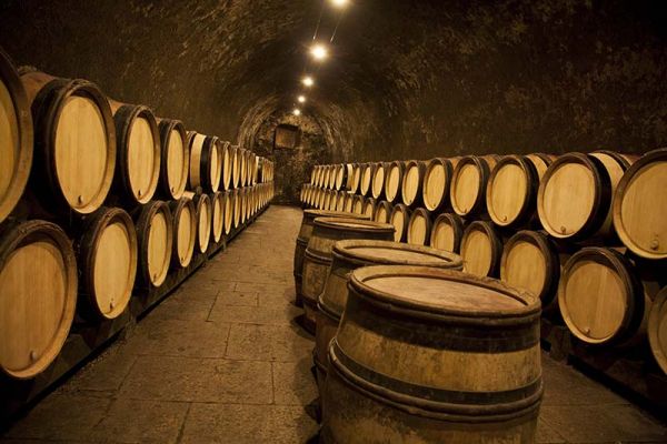 Wine cellars at Domaine Chanson