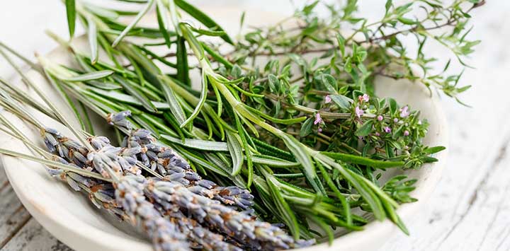 french-herbs-lavender-rosemary-pixabay-feat