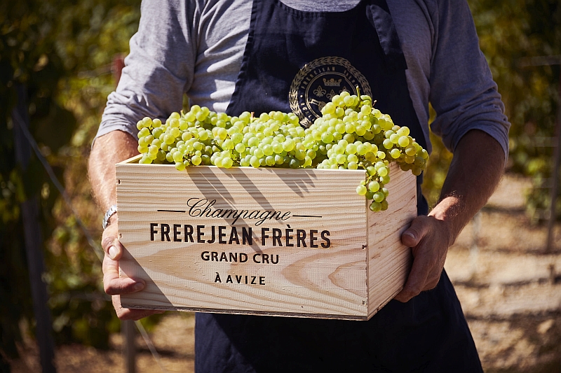 Frerejean Frères champagne house