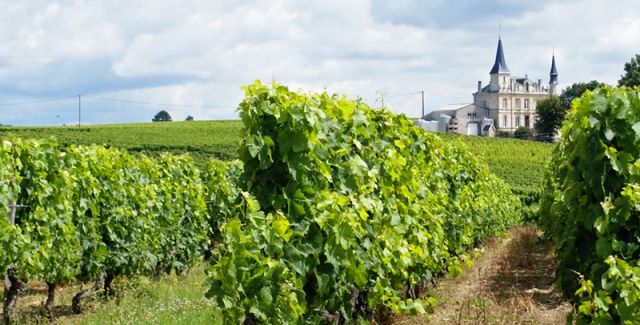 Bordeaux Wine Guide