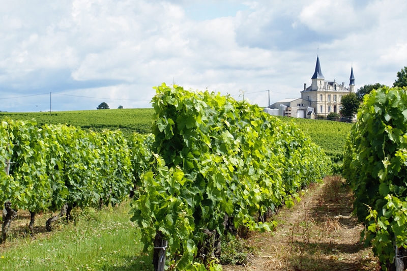 Bordeaux Wine Guide