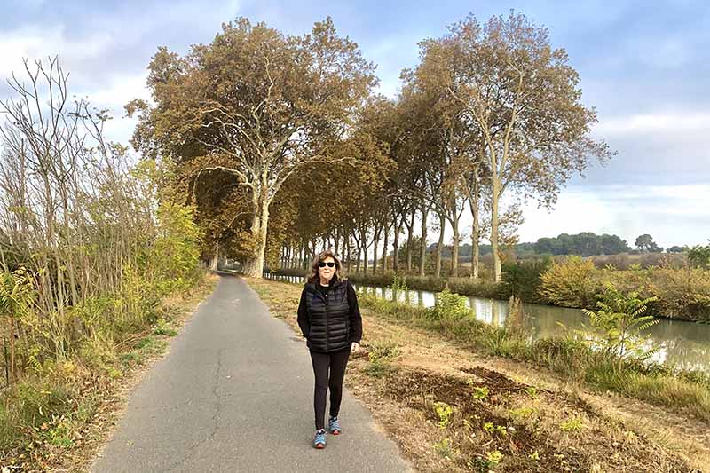 Judi Cohen walking the plane trees on the Canal du Midi