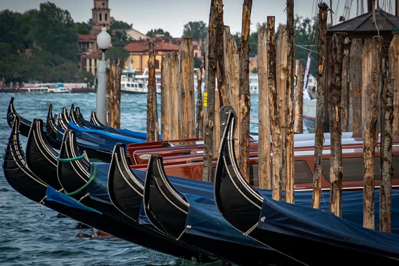 Venetian Gondolas by Rose Palmer Sungail