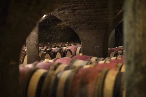Maison Champy wine cellars with barrels