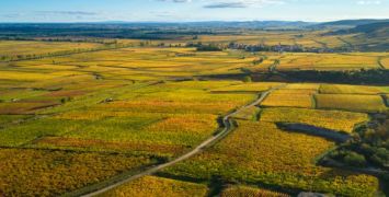 Aerial view of Maison Champy vineyards in Beaune