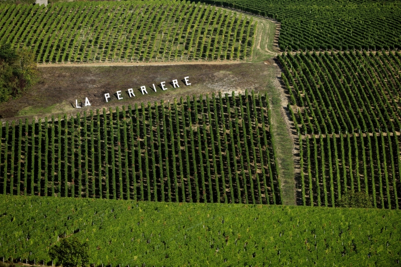 Vineyards of Domaine de la Perrière in Sancerre