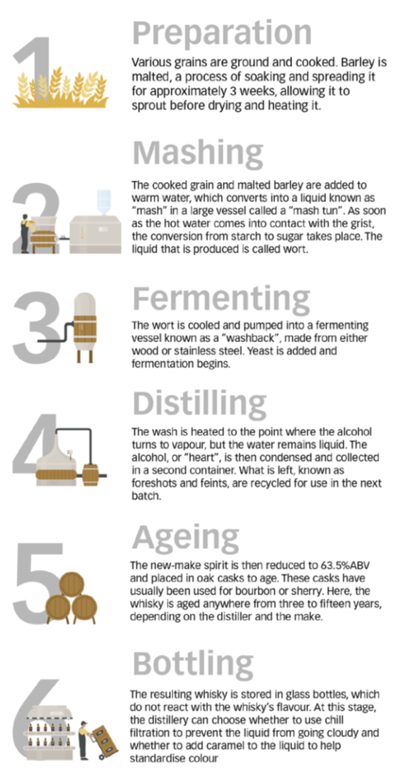 Stages of whisky production infographic