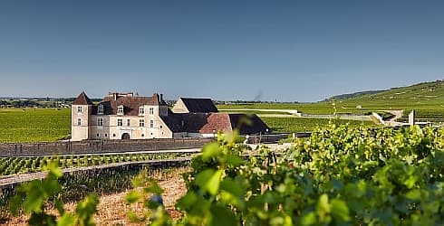 Clos de Vougeot: Home of the Chevaliers du Tastevin : European