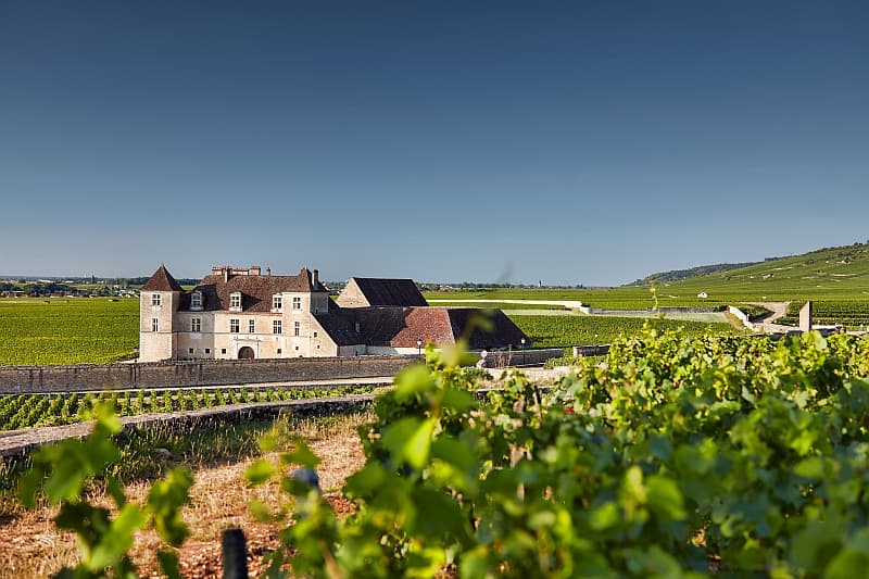 Clos de Vougeot: Home of the Chevaliers du Tastevin : European