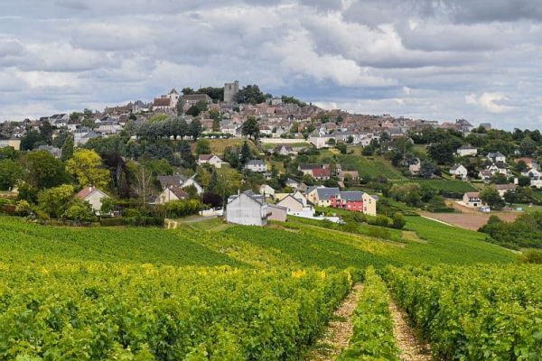 Sancerre and Loire Vineyards