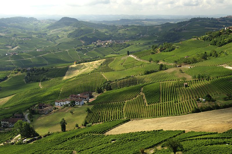 The Langhe is known for producing some of Italy's best wines