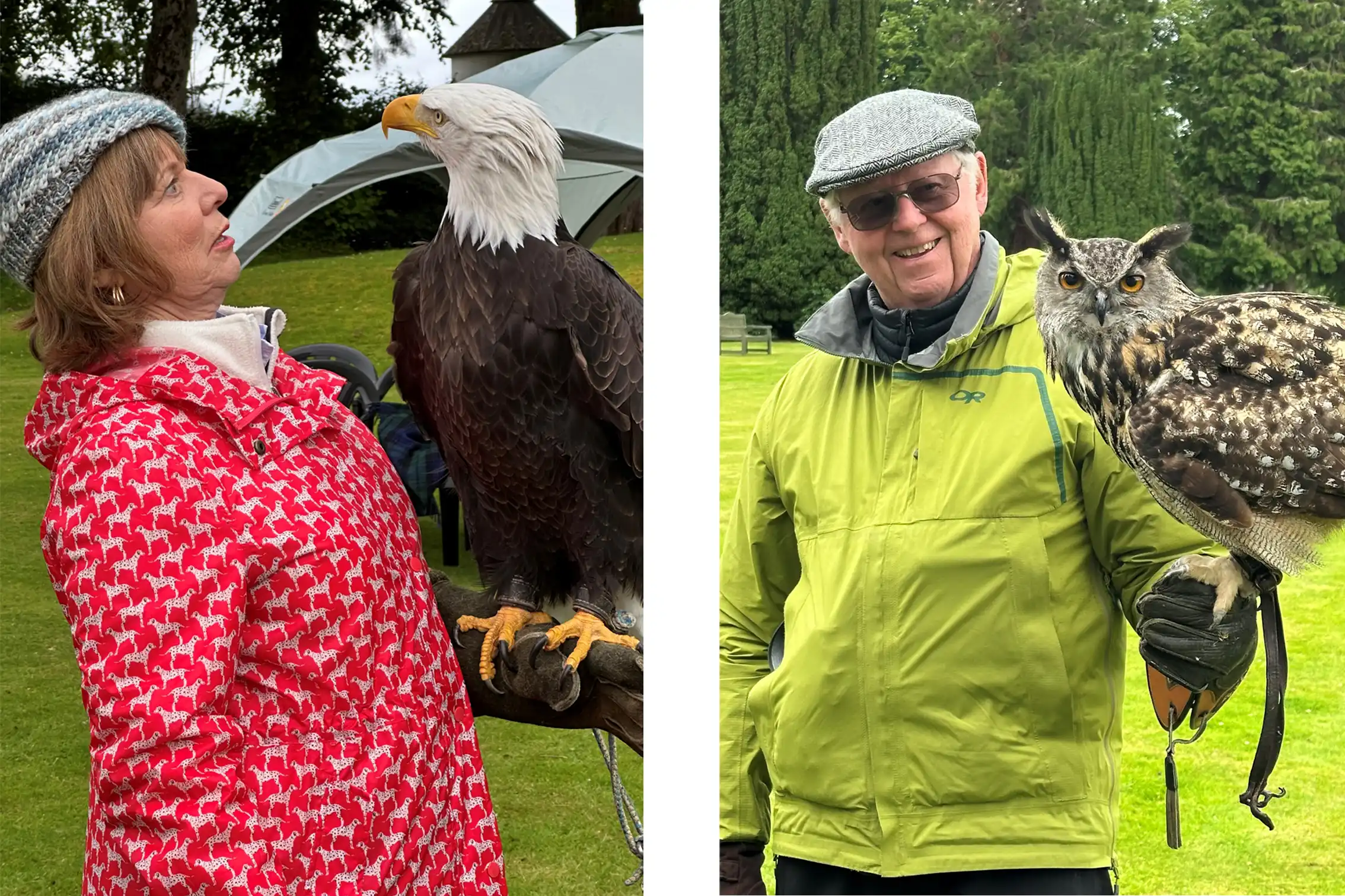 Falconry display at the Highland Club - Scottish Highlander