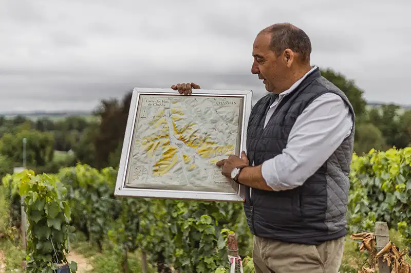 Tour and tasting at Domaine Laroche