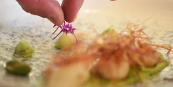 Culinary experiences