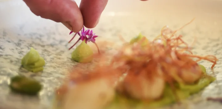 Culinary experiences