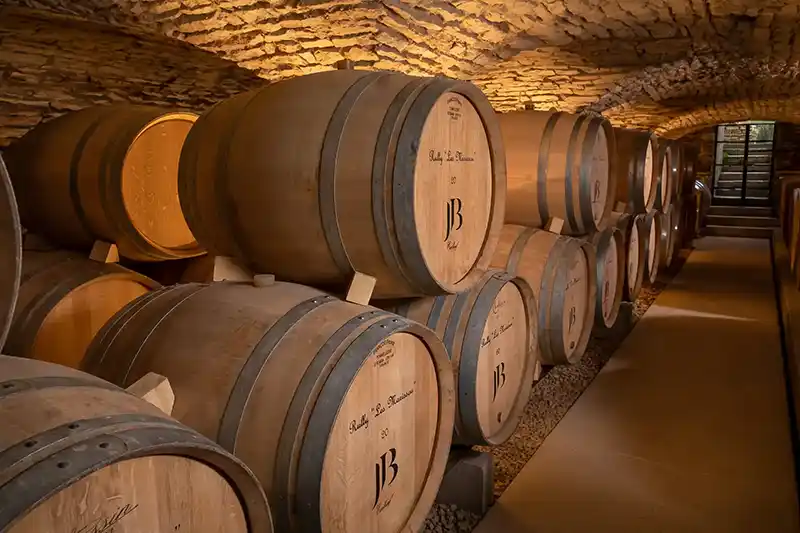 The cellars of Jean Baptiste Jessiaume