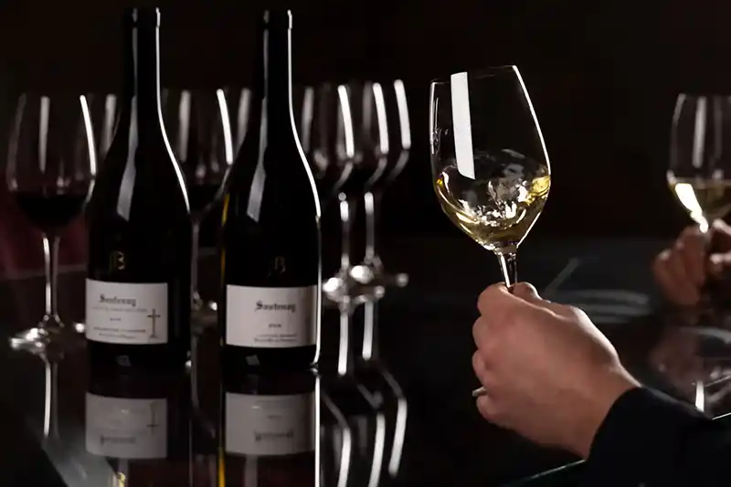Santenay wines from Jean Baptiste Jessiaume