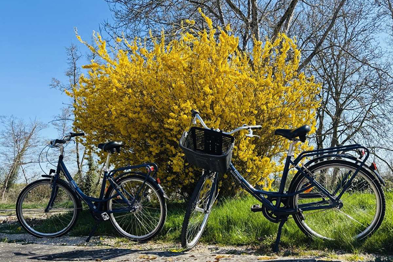 European Waterways Bikes on the Burgundy Canal towpath European Waterways Bikes on the Burgundy Canal towpath by Michael Edwards