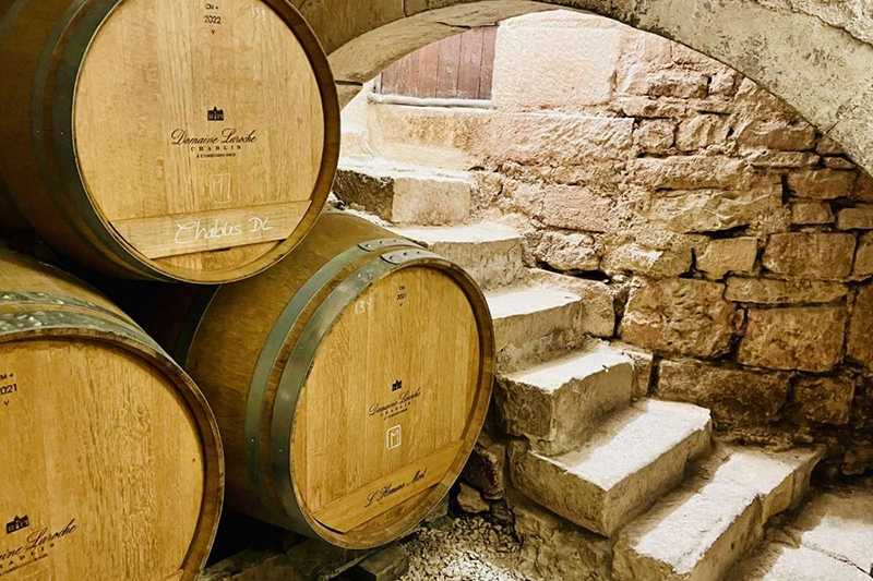 Chablis wine cellar Chablis Wine Cellars by Michael Edwards