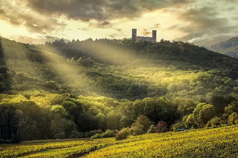 Château Haut-Barr