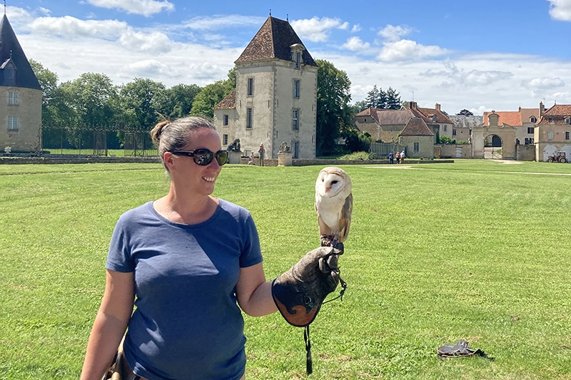 Falconry demonstration at the Chateau de Commarin Falconry demonstration at the Chateau de Commarin courtesy of Buzzy Gordon