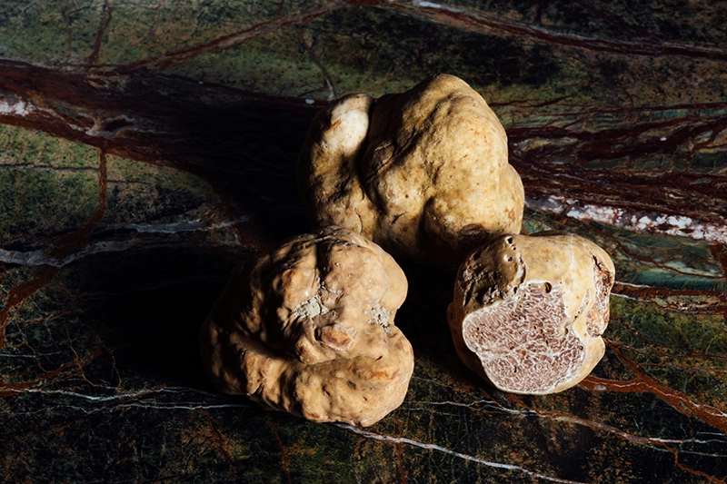 Summer truffle Summer truffle
