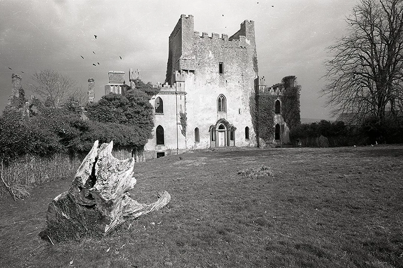 Leap Castle greyscale courtesy of Leap Castle