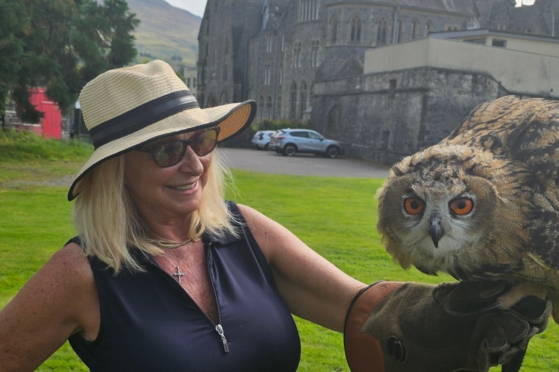 Alice and owl exhibition in Scotland