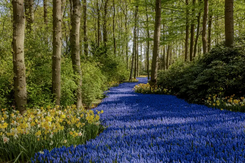 spring cruises are a wonderful time to be away from the maddening crows, beautiful flowers and fresh local produce.